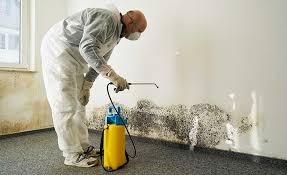 Mold Remediation for Vacation Homes in Port Jervis, NY