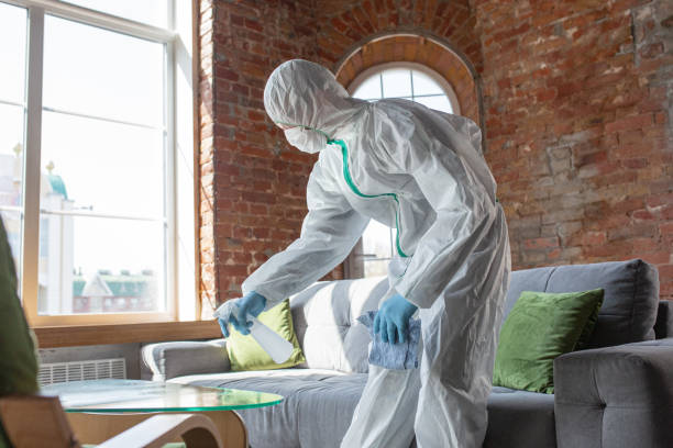 Professional Mold Removal & Remediation in Port Jervis, NY