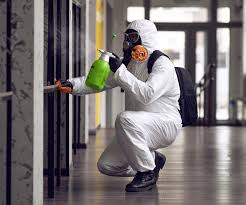 Biohazard Mold Removal in Port Jervis, NY